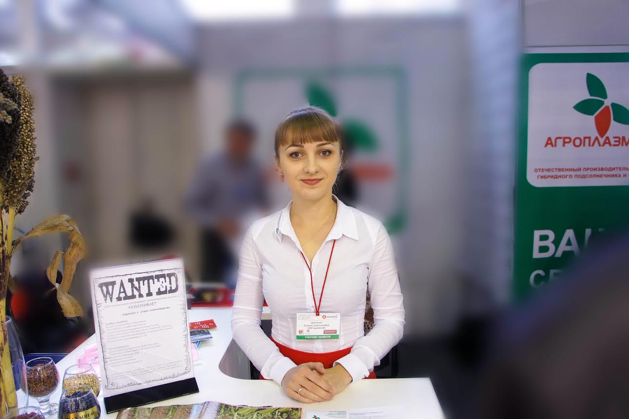 Зерновые культуры